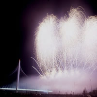 fuochi d artificio matrimonio