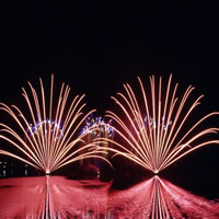 fuochi d artificio matrimonio